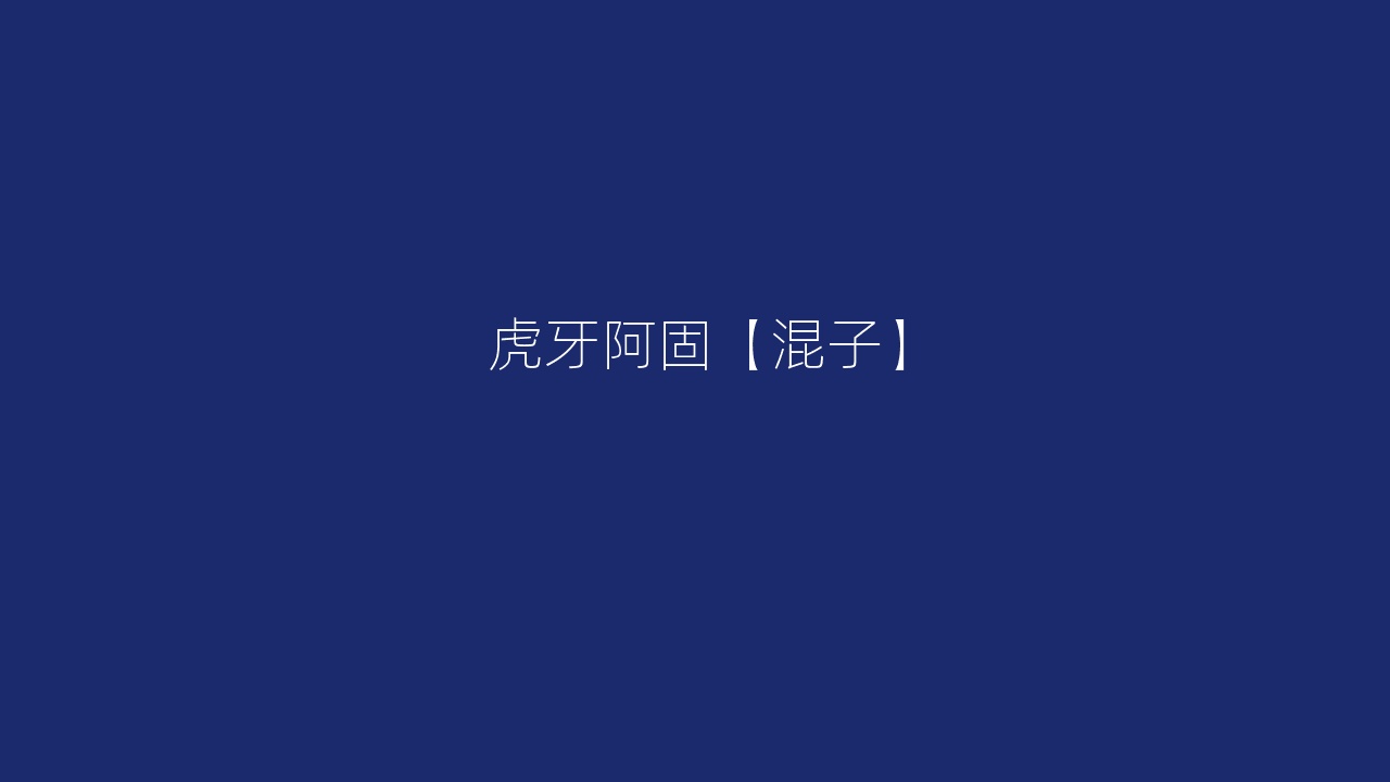 虎牙阿固【混子】