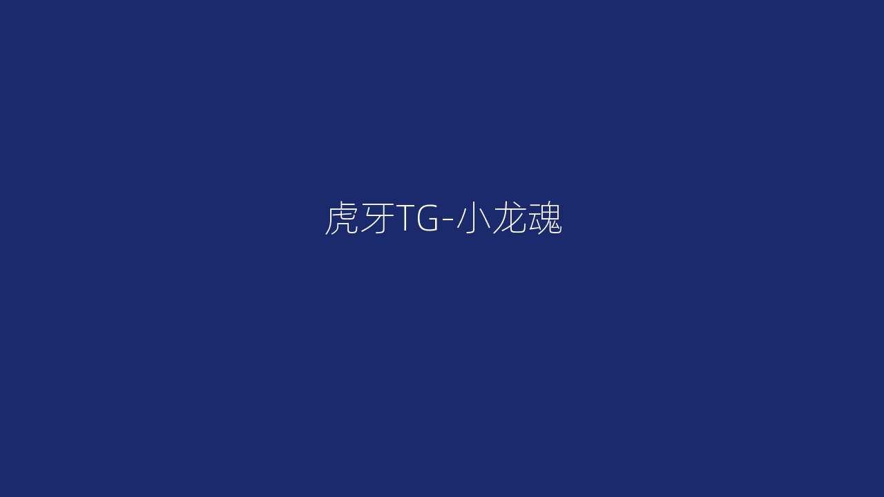 虎牙TG-小龙魂