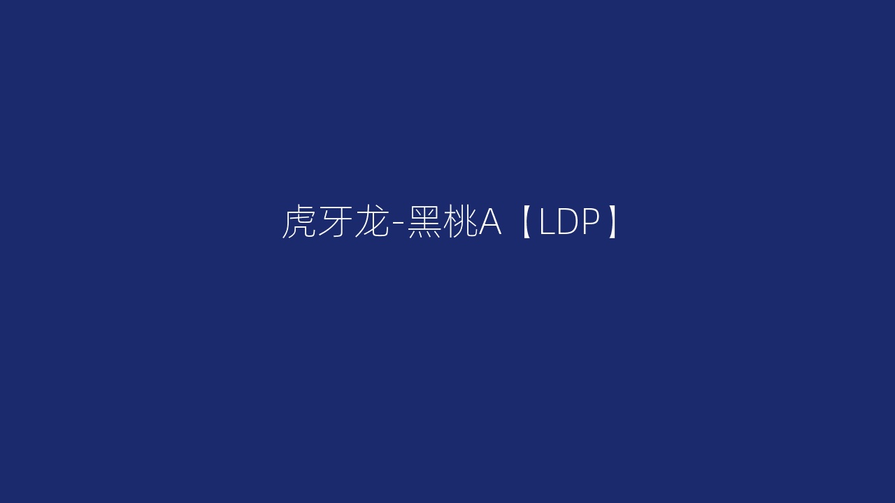 虎牙龙-黑桃A【LDP】