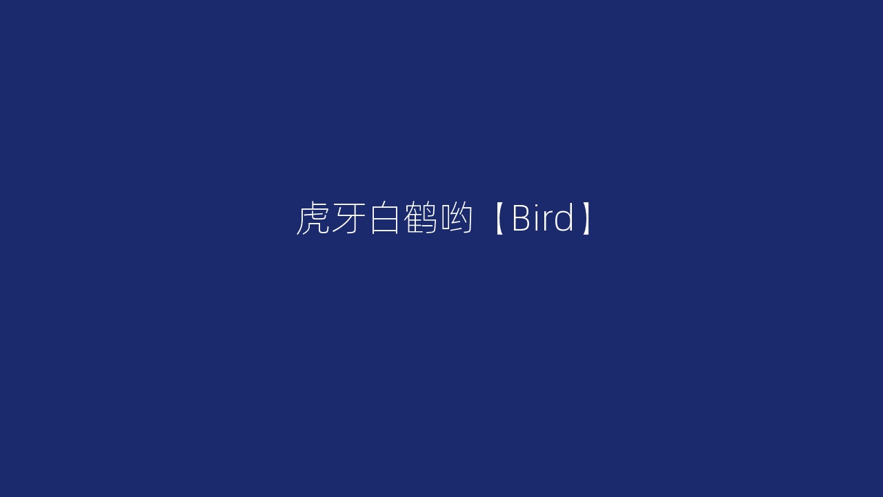 虎牙白鹤哟【Bird】